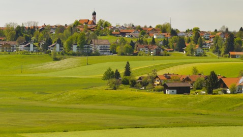 Eine schöne grüne Landschaft