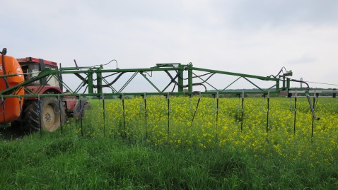 Bild von Dropleg-Düsen im Rapsfeld