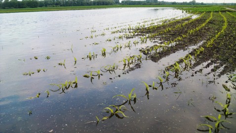 Hochwasser im Landkreis Deggendorf 2013