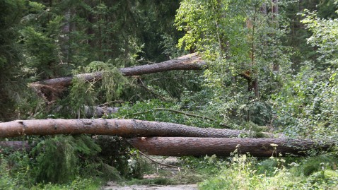 Stumschäden nach Sturm Kolle in Bayern