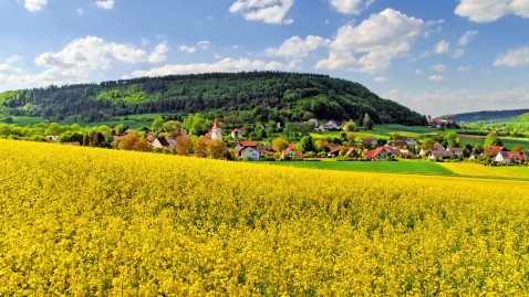 Dorf in Bayern mit Rapsfeld
