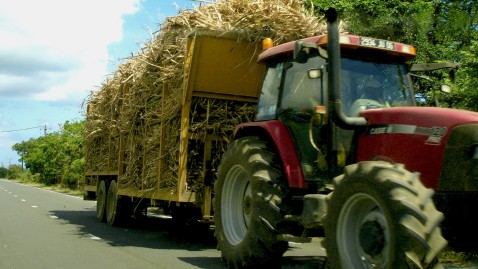 Traktor mit Strohballen auf Straße