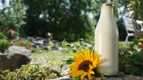 Milchflasche im Grünen