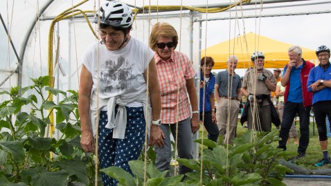 Frauen erkundigen ein Gewächshaus