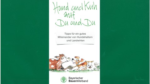 Hundekotflyer