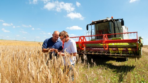 Zwei Landwirte begutachten auf dem Acker den Weizen. Im Hintergrund ist ein Mähdrescher zu sehen.