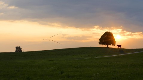 2018-07-17 Zeitumstellung