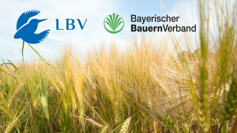 Der LBV und der Bayerische Bauernverband setzen sich gemeinsam für den Natur- und Artenschutz ein.