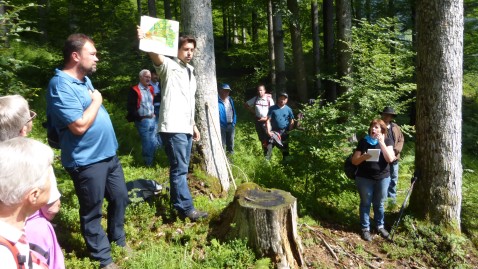 Wald Jagd Begang