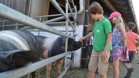 Zwei Kinder streicheln ein Schwein