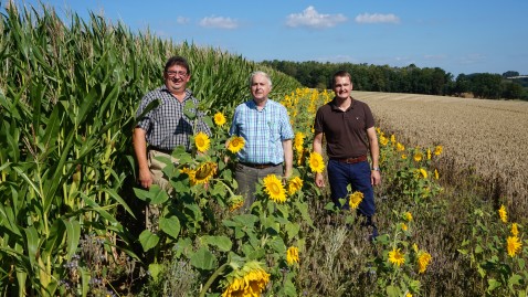 Unser Bild zeigt von links Landwirt und stellvertretender Kreisobmann Harald Peetz, Harald Hühnlein von der Firma Samen Hühnlein und Syngenta-Berater Christian Schneider