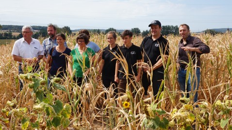 Gruppenbild im Maisacker
