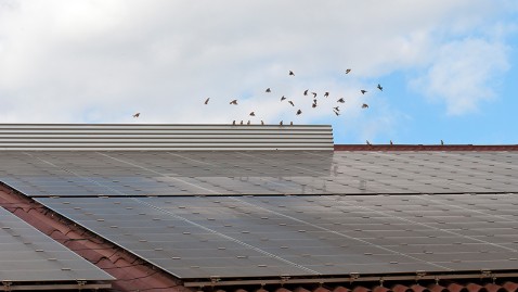 Solaranlage auf dem Dach eines Bauernhauses in Bayern