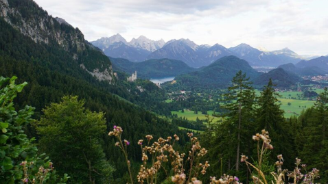 Landschaftsaufnahme mit Bergen