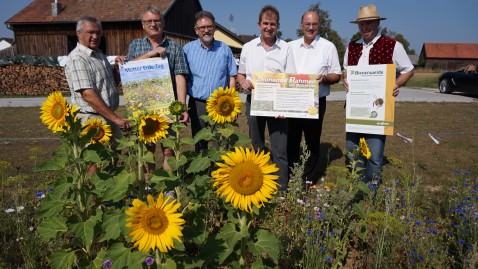 2018-08-01 Blühflächen und Trockenheit