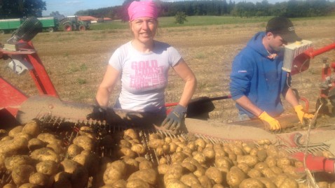 kreisbäuerin Anita Painhofer bei der diesjährigen Kartoffelernte 2018