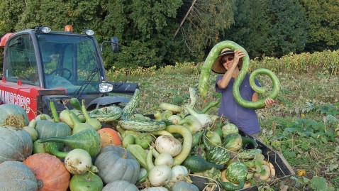 Walburga Loock auf ihrem Kürbis-Bauernhof