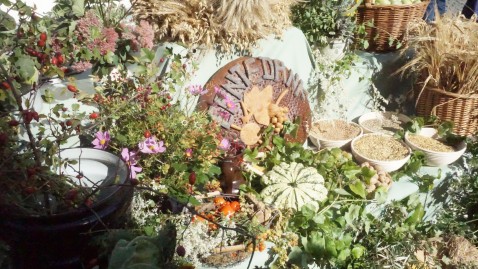 Erntedanktisch am Amberger Bauernmarkt 2018 Aktion Wir machen Ernte