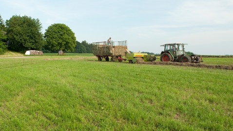 Grünlandbewirtschaftung in Bayern