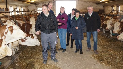 2019-01-17-Stallgespräch