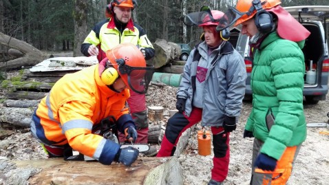 Landfrauen im Wald