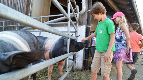 Schulkinder auf dem Kindertag der Landfrauen im Bayerischen Bauernverband