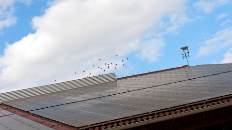 Solaranlage auf dem Dach