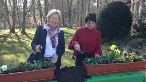 Kreisbäuerin beim Blumenkastenpflanzen