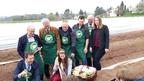 Gruppe sticht Spargel an