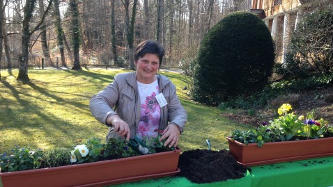 Blumenkasten bepflanzen
