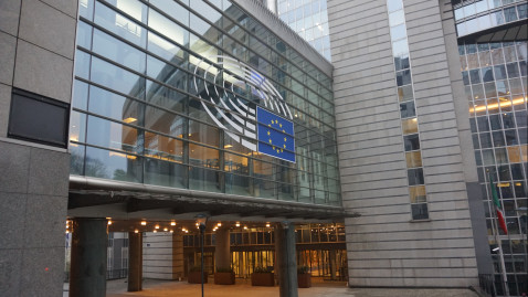 Hans Rebelein, Wolfgang Schultheiß