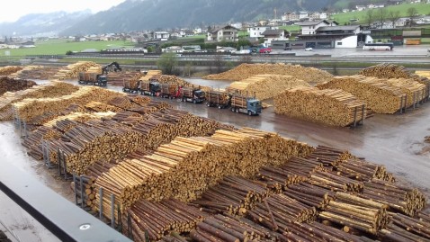 Holzlager in Fügen