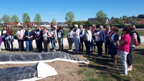 Vortrag Spargel Sandharlanden