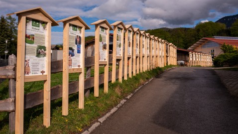 Landwirtschaftsweg am Samerberg