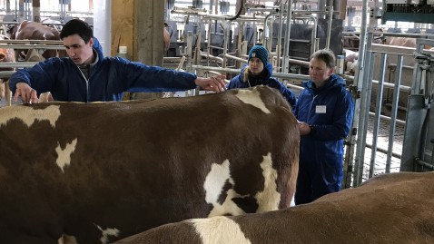 Aufgabe zur Tierbeurteilung beim Berufswettbewerb aus dem Landesentscheid.