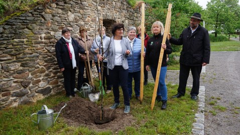 Kreisbäuerinnen der Oberpfalz pflanzen Quitte