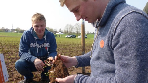 Ein junger Mann begutachtet junge Pflanzen auf dem Feld.
