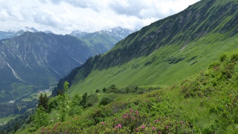 Exkursion Sölleralpe