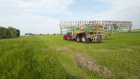 Ein Traktor mit Güllefass auf einer Wiese. 