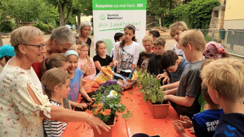 Bayern blüht auf in der Martinschule Forchheim