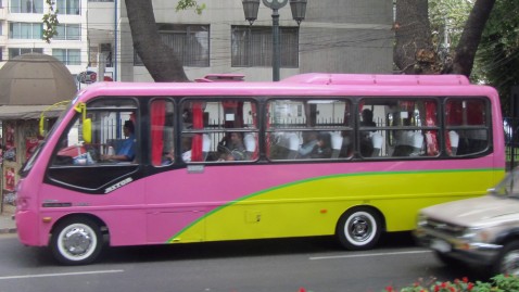 PinkerBus