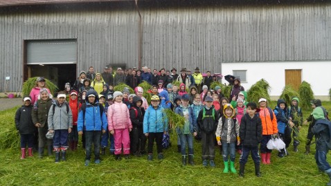 Kinder auf dem Bauernhof