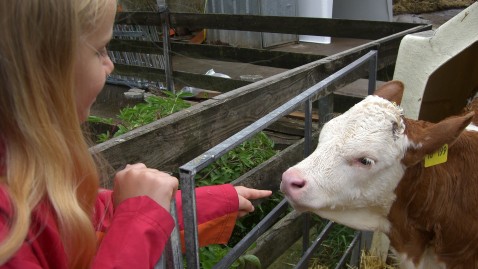 Erlebnis- und Schnuppertage auf bayerischen Bauernhöfen 