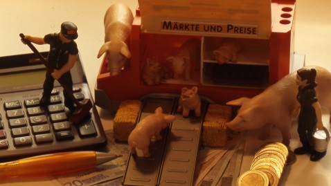 Aufstellung Schweinefiguren, Mensch und Taschenrechner