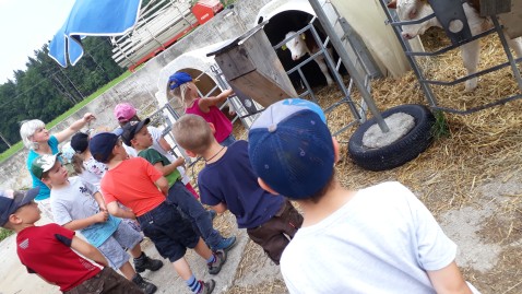 Kinder auf dem Kindertag