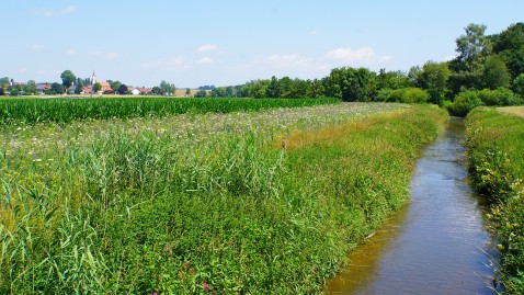 Gewässerrandstreifen in Bayern