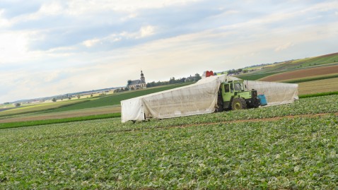 Ein Gurkenflieger auf dem Feld. 