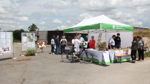 BBV-Stand