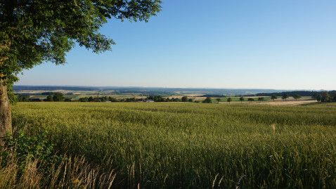 2019-06-29 Flurwanderung Ottowind