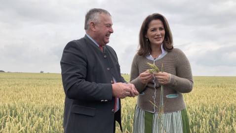 Bauernpräsident Heidl zusammen mit Landwirtschaftsministerin Kaniber im Getreidefeld bei der Erntepressefahrt.